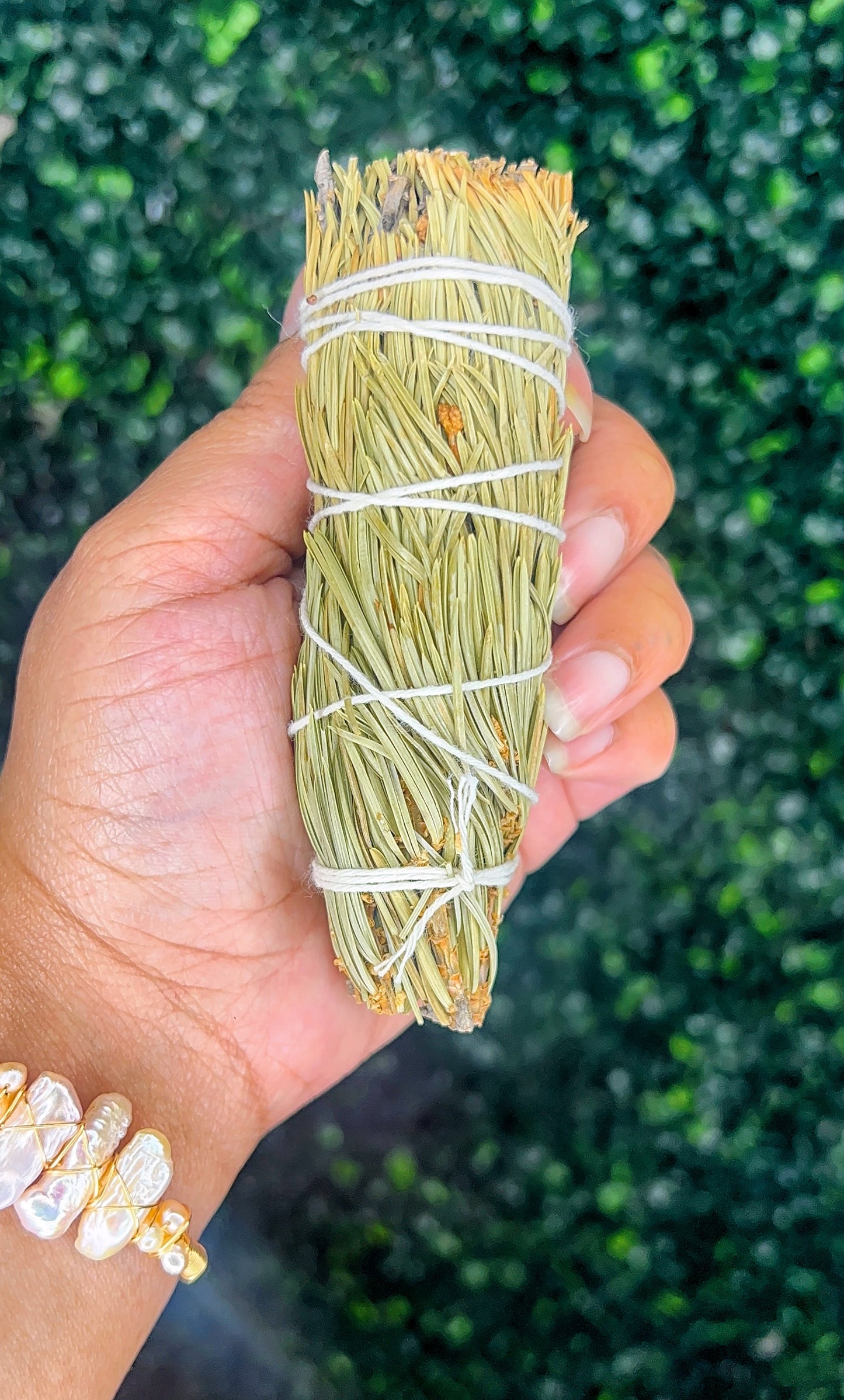Pine Needle Smudge Bundle