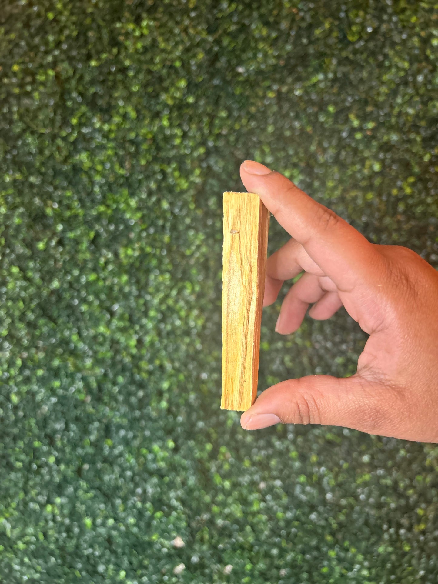 Palo Santo