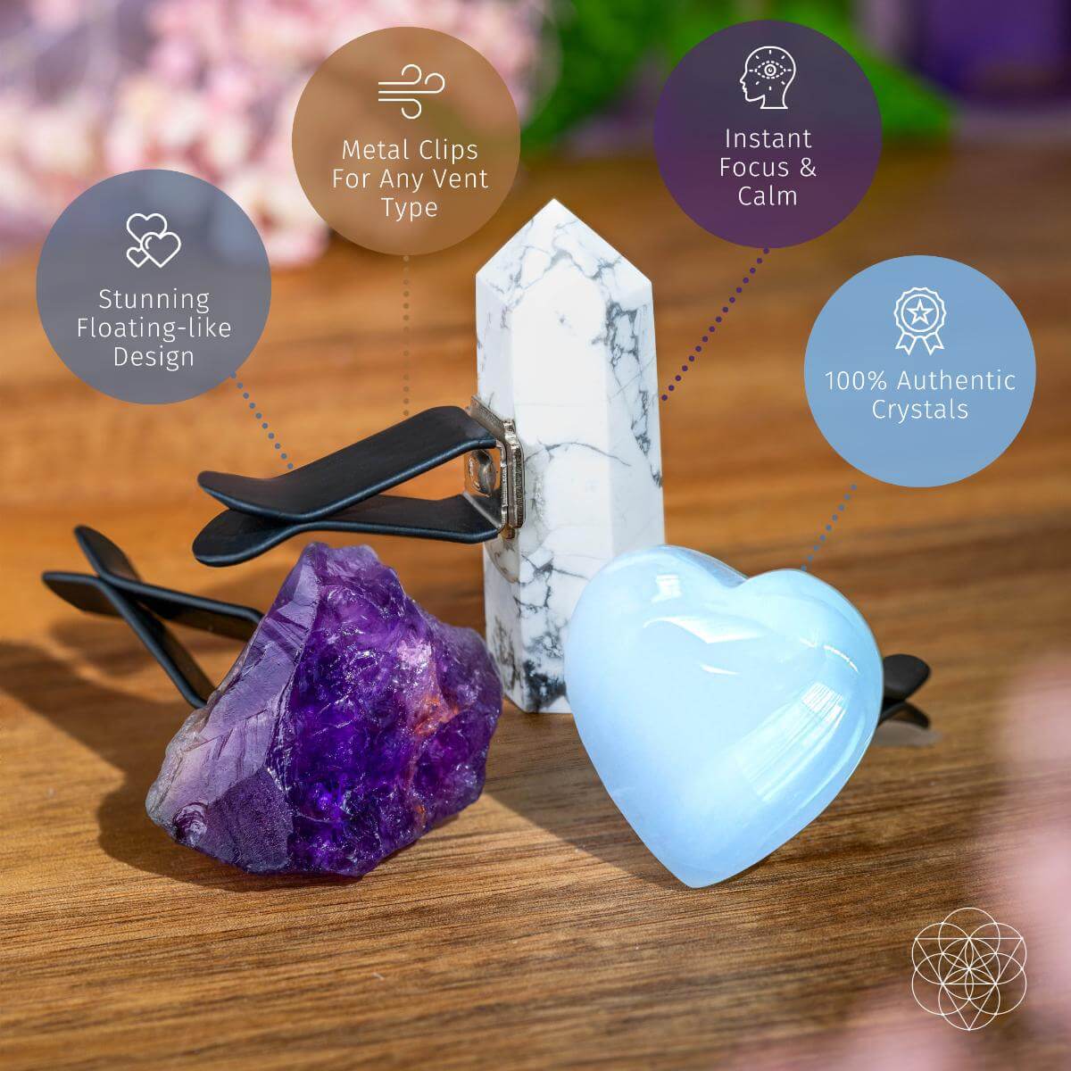 Focused Driver | Crystal Car Kit of Protection