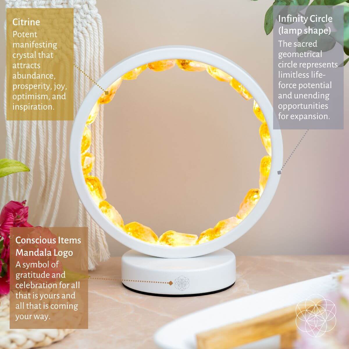 Infinite Abundance Lamp