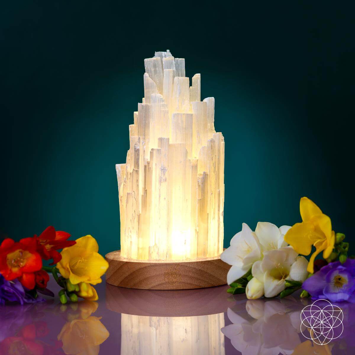 The Cleanse All Selenite Lamp