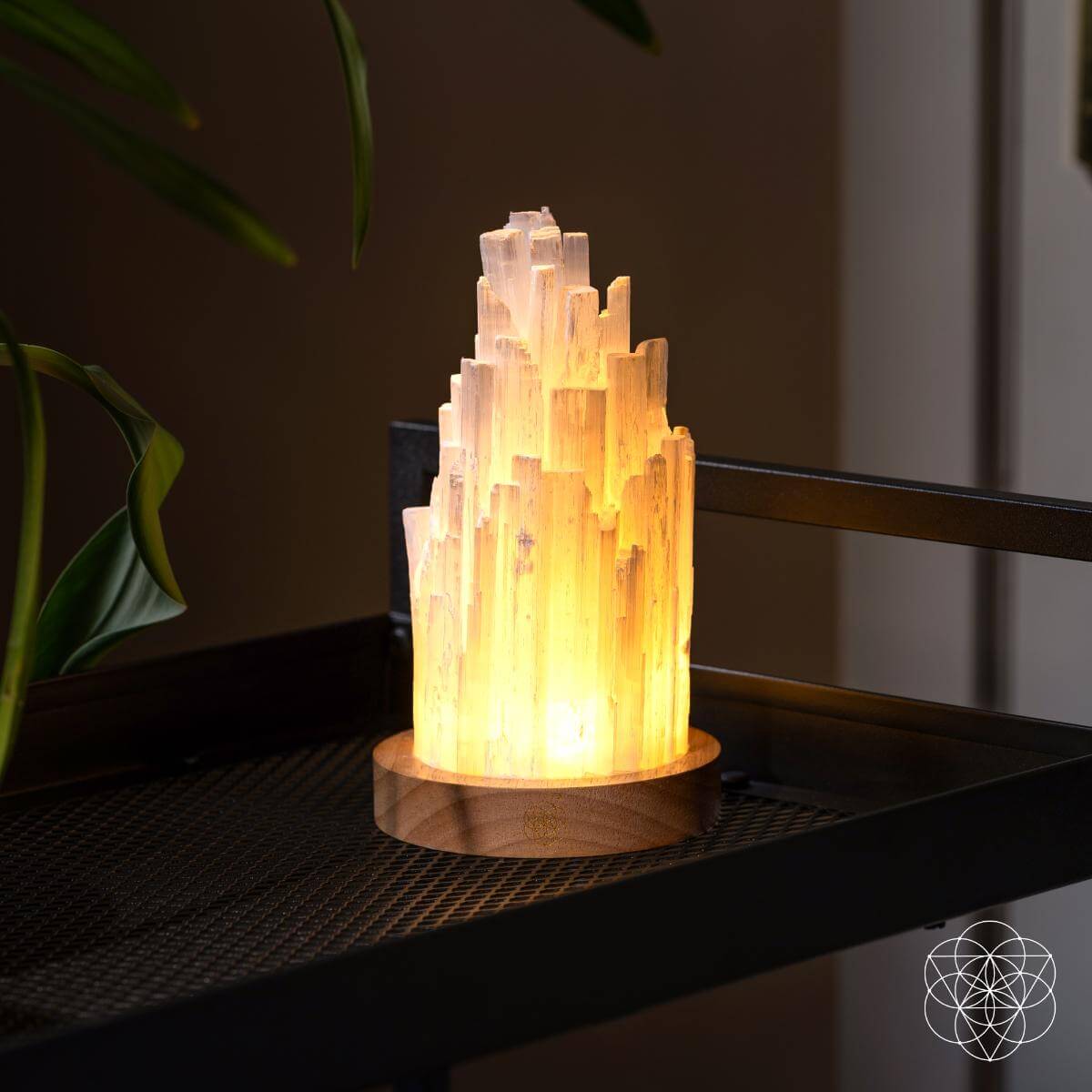 The Cleanse All Selenite Lamp