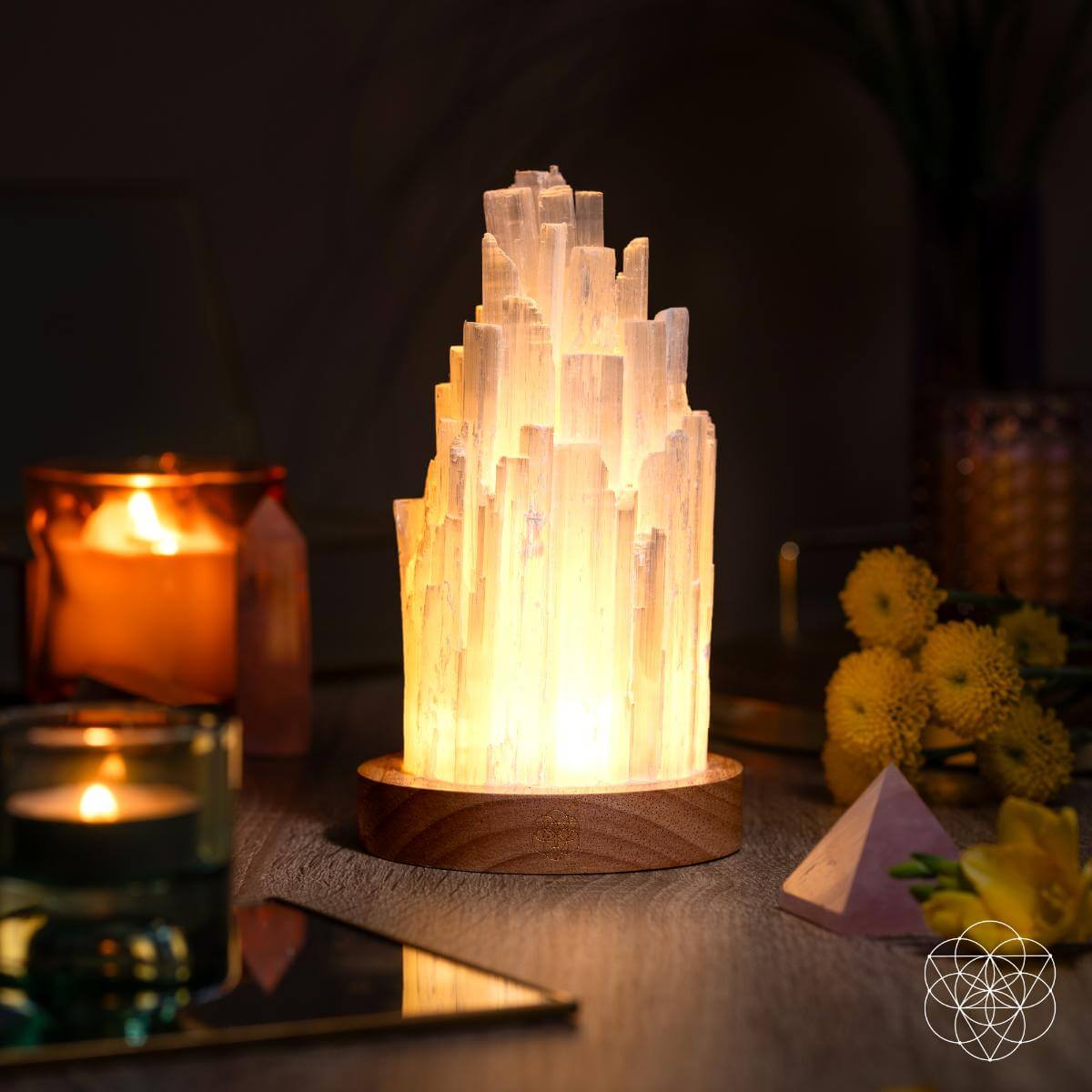 The Cleanse All Selenite Lamp
