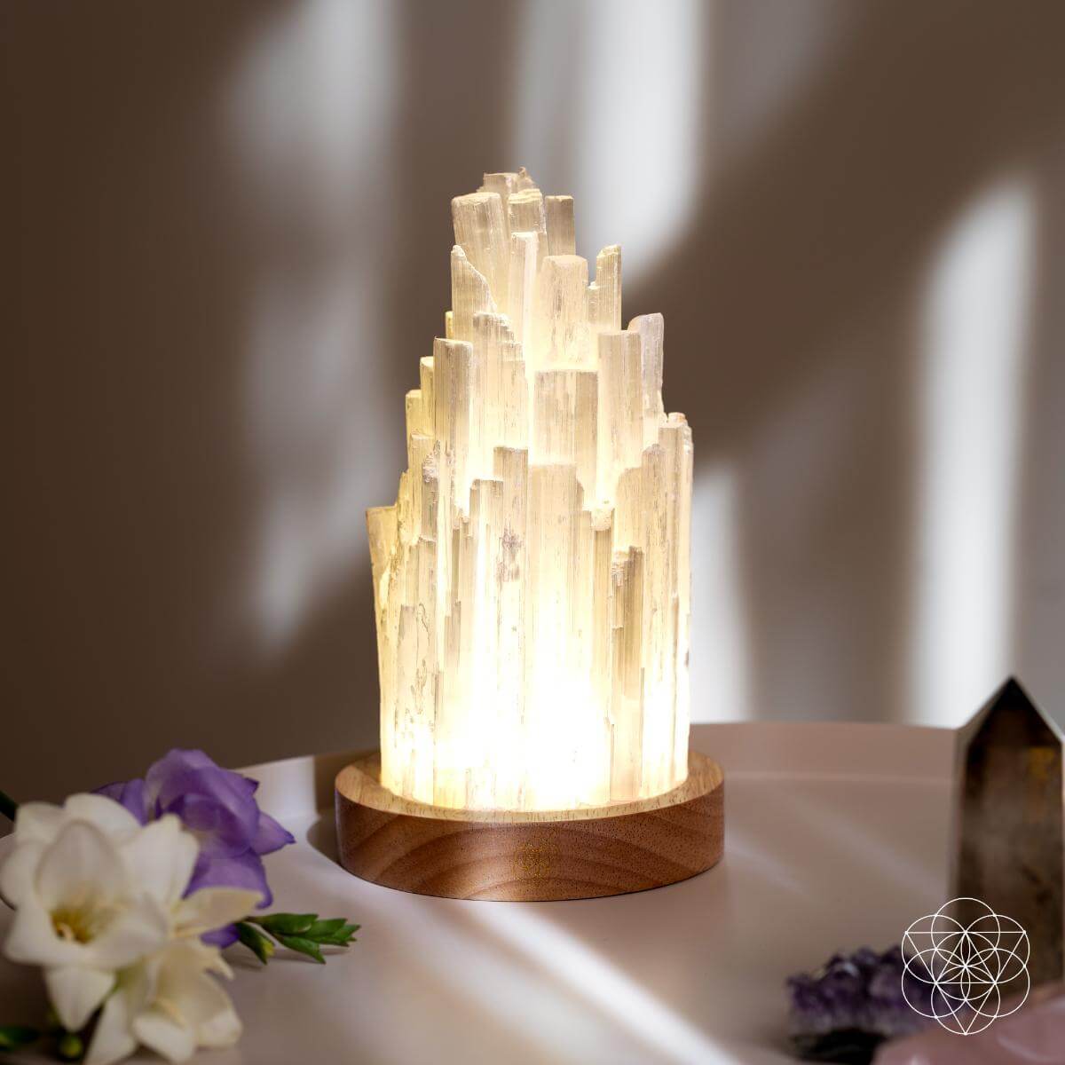 The Cleanse All Selenite Lamp