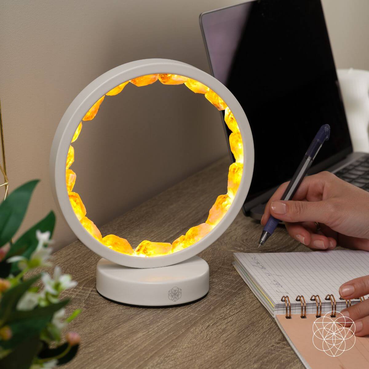 Infinite Abundance Lamp