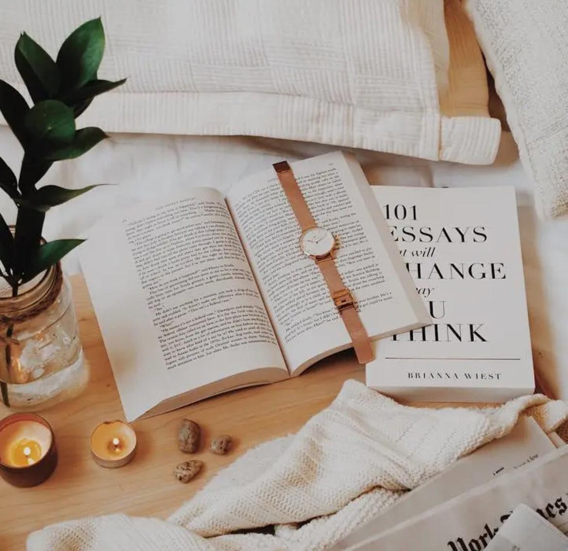 101 Essays That Will Change the Way You Think