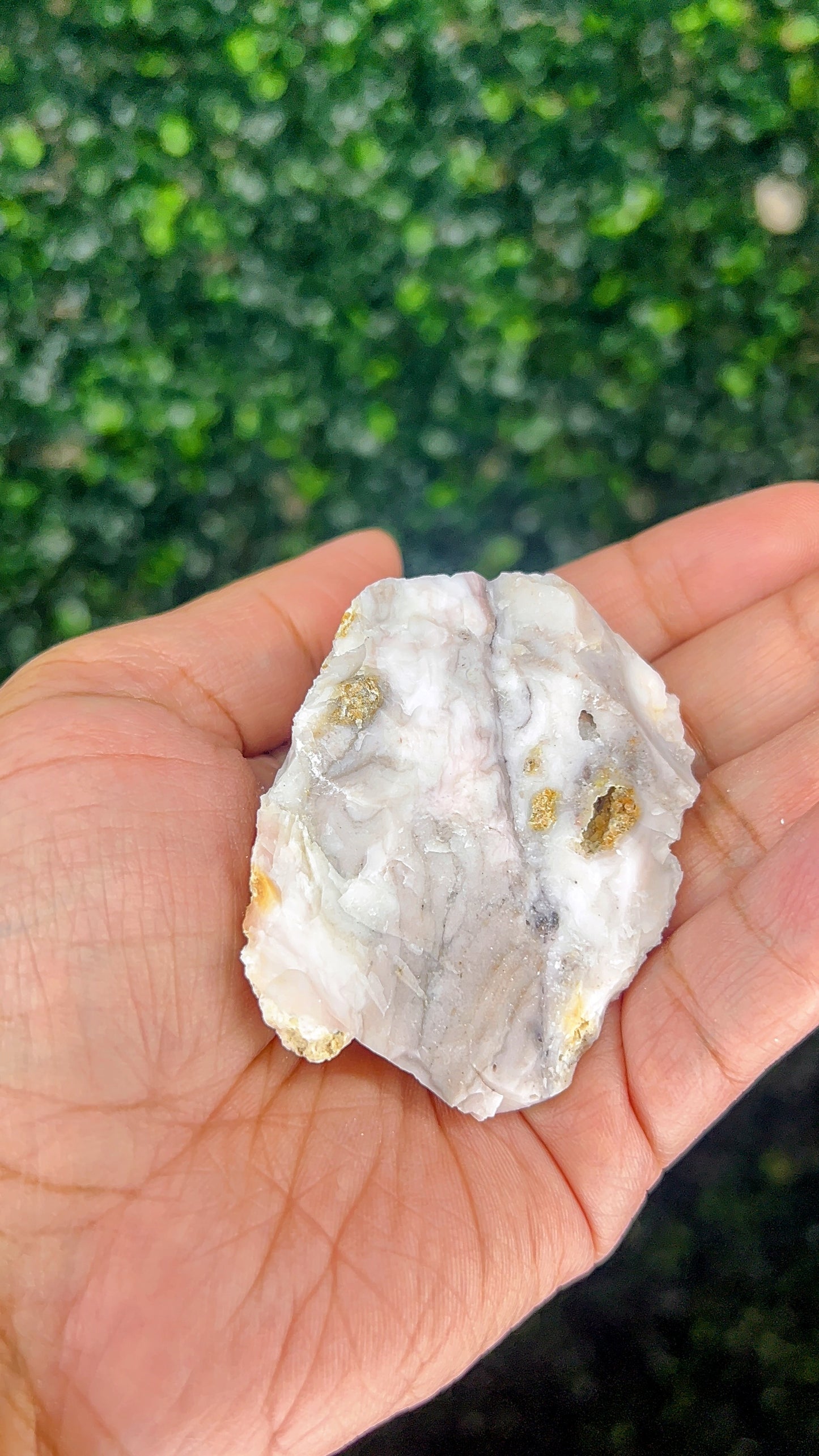 Pink Opal|Raw