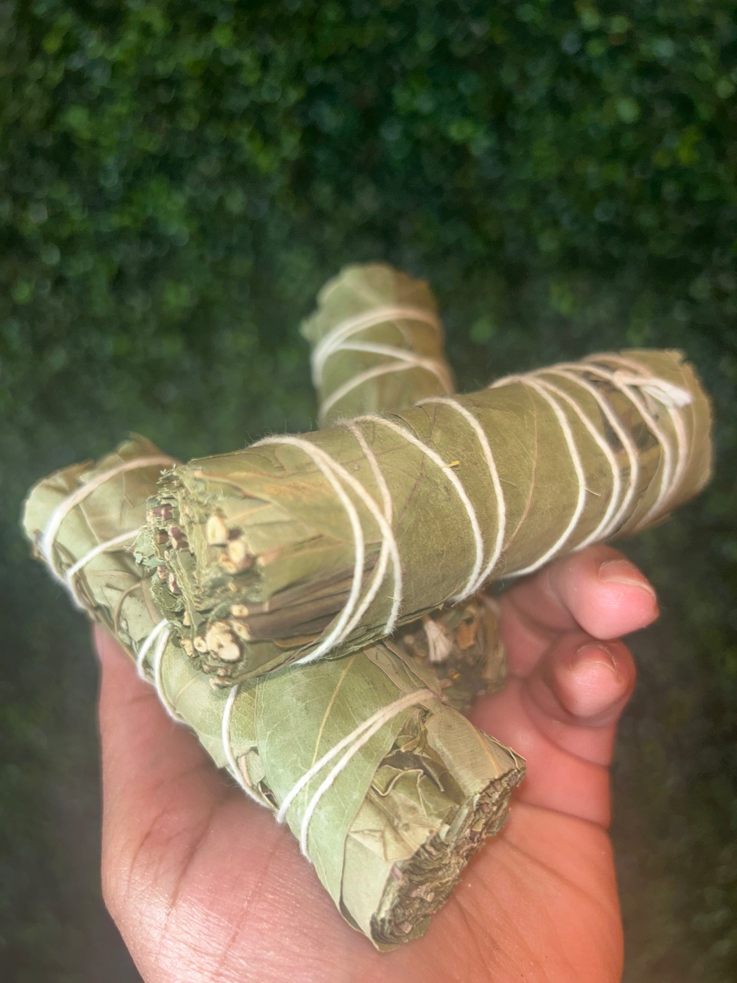 Eucalyptus Smudge Bundles