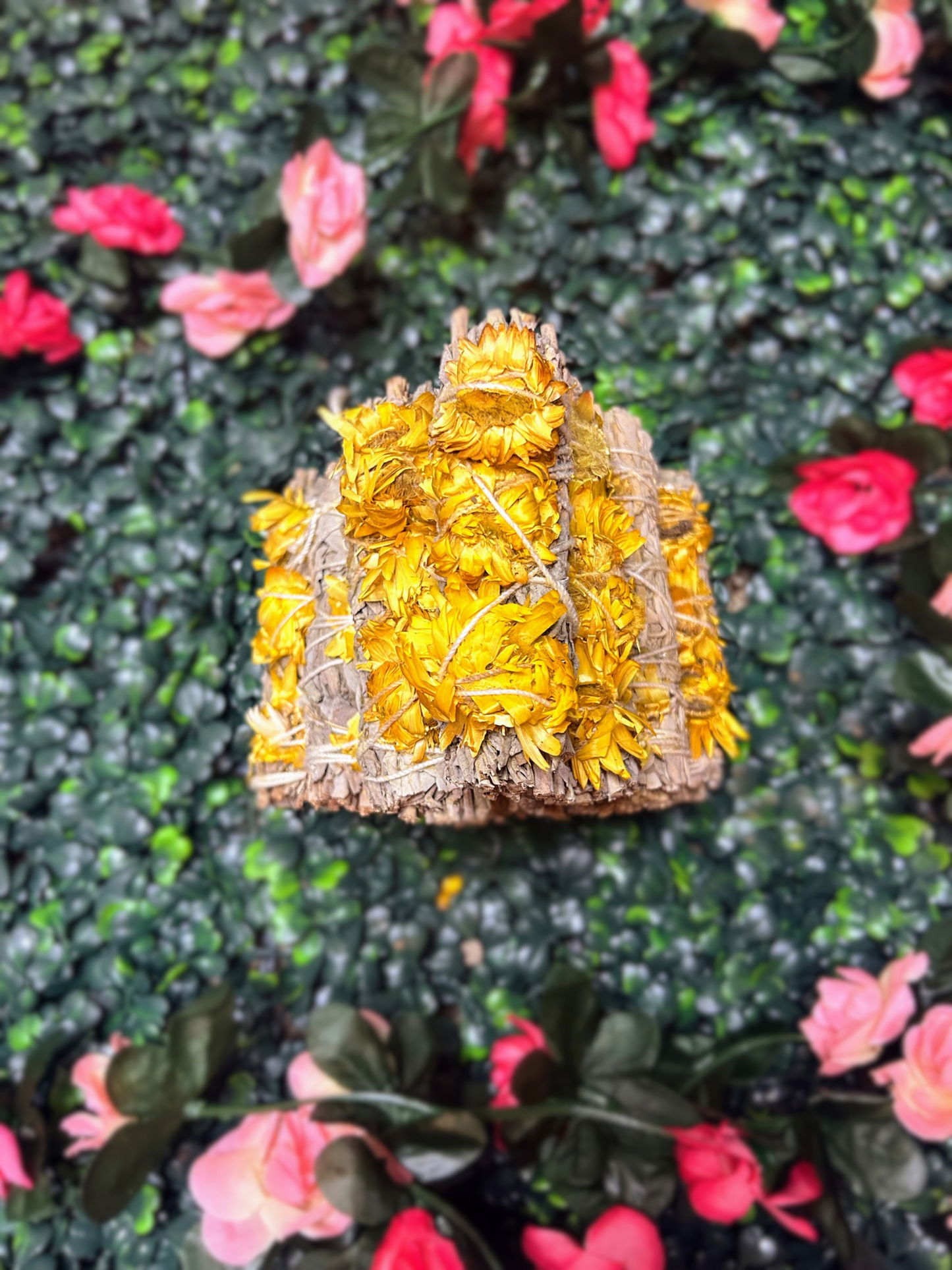 Sunflower + White Sage Bundle