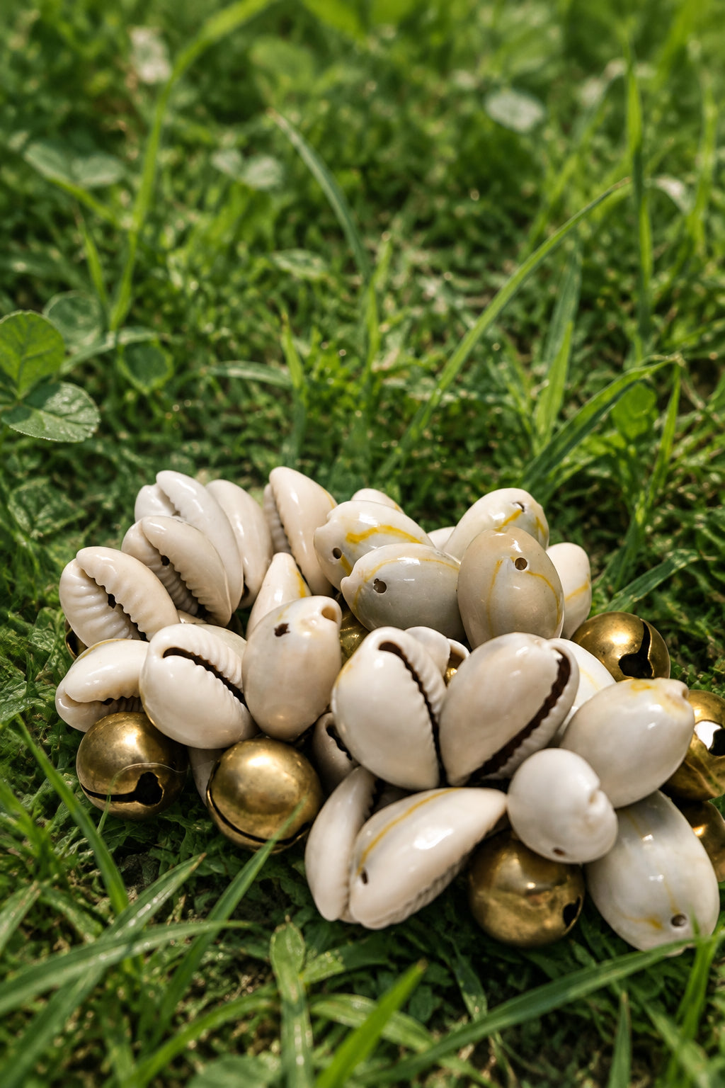 Sacred Currency | Cowrie Shell Bracelet