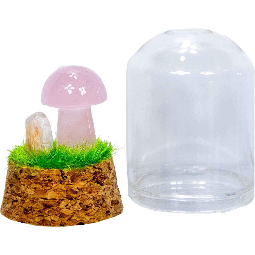 Gemstone Mini Mushroom Terrarium|Rose Quartz