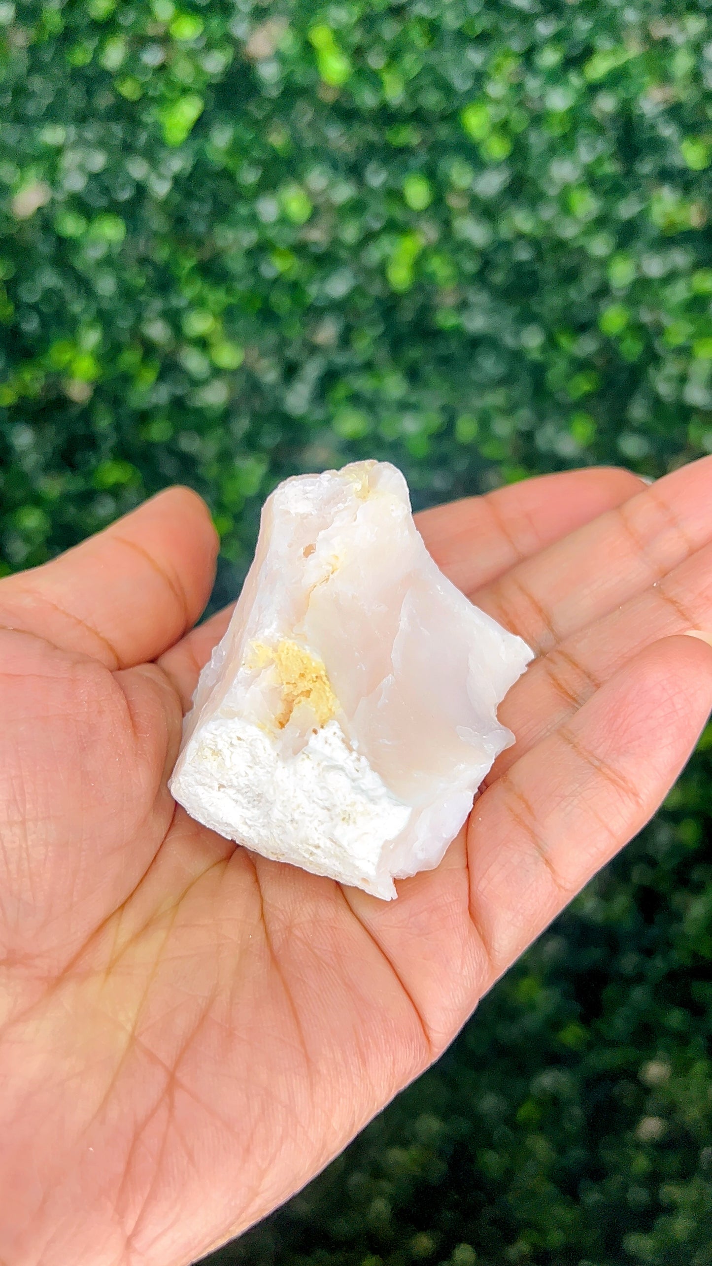 Pink Opal|Raw