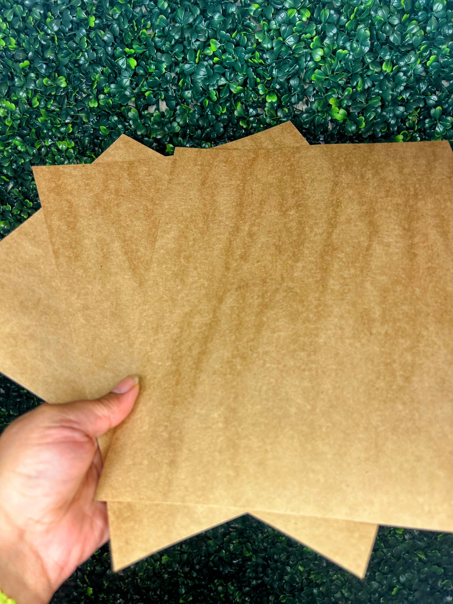 Grounded Desires Paper