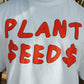 Plant Seeds