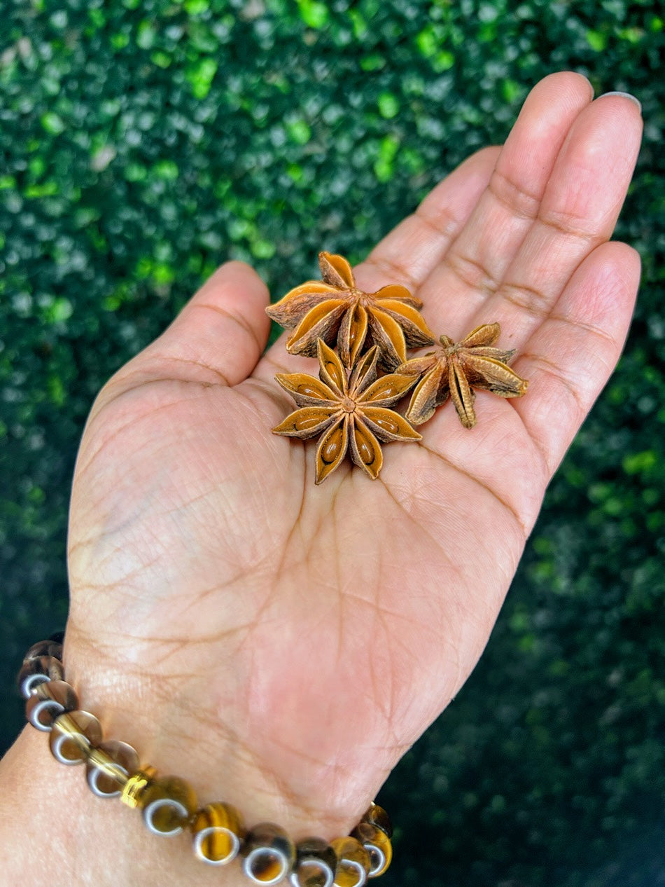 Star Anise