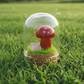 Gemstone Mini Mushroom Terrarium|Carnelian