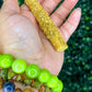 Eucalyptus Smudge Pop