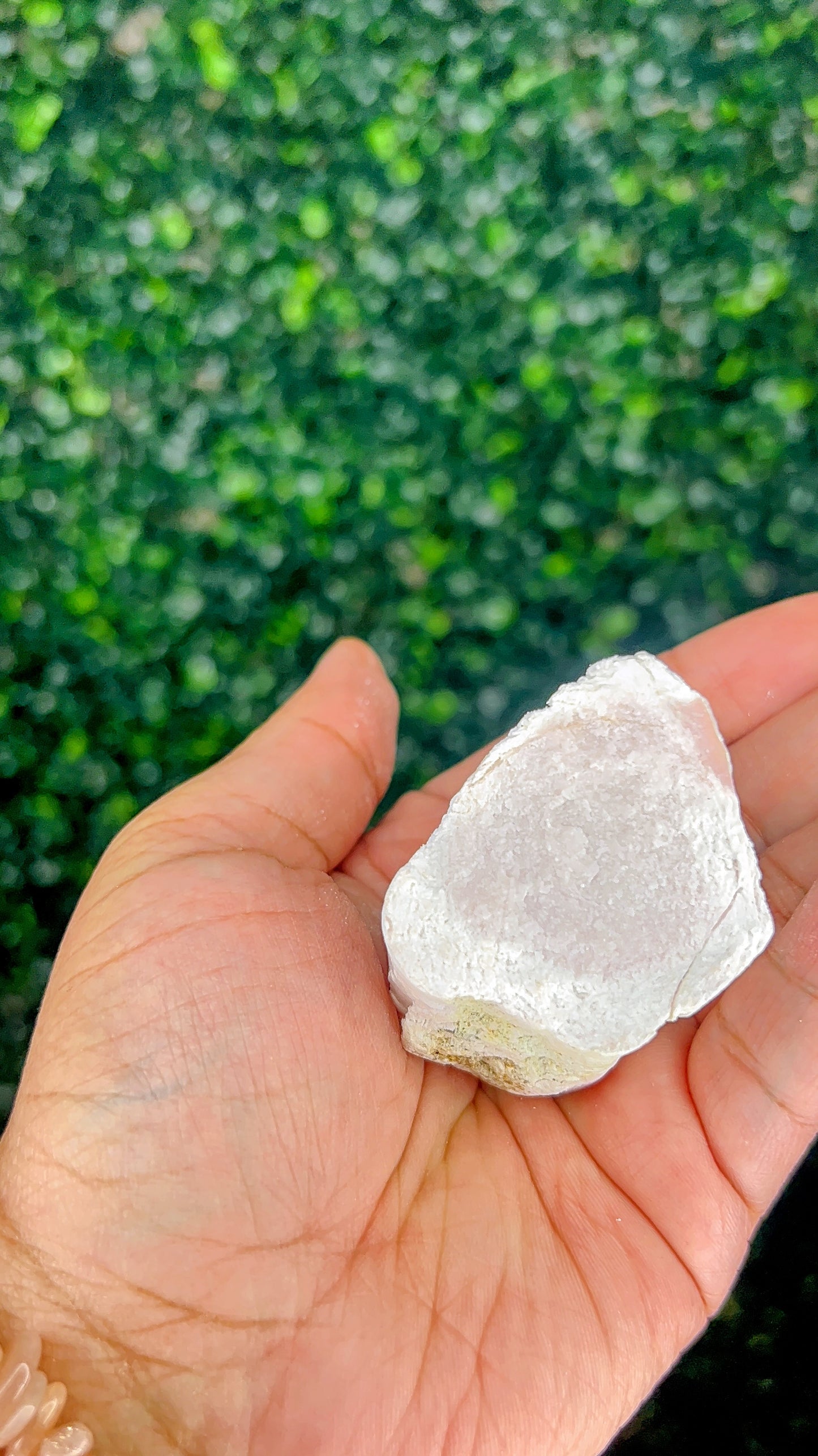 Pink Opal|Raw