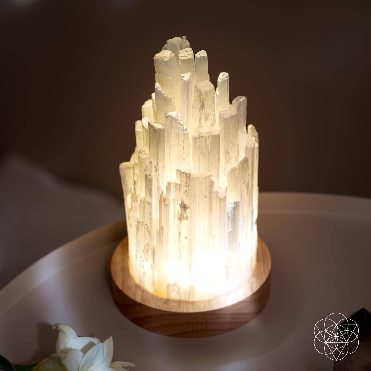 The Cleanse All Selenite Lamp