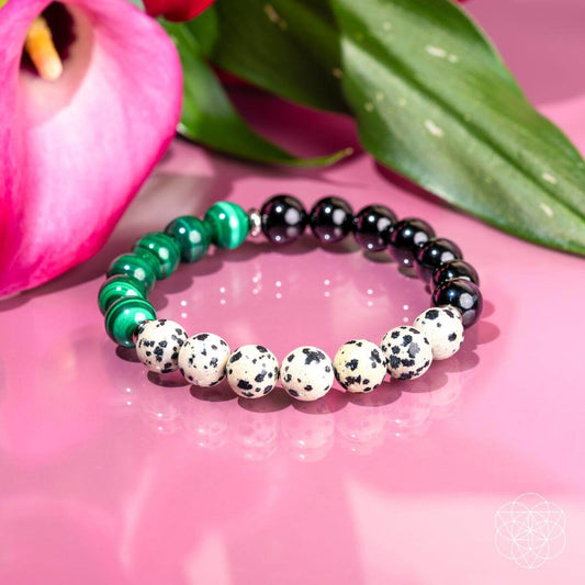 Soul Reset | Dalmatian Jasper Bracelet of Healing