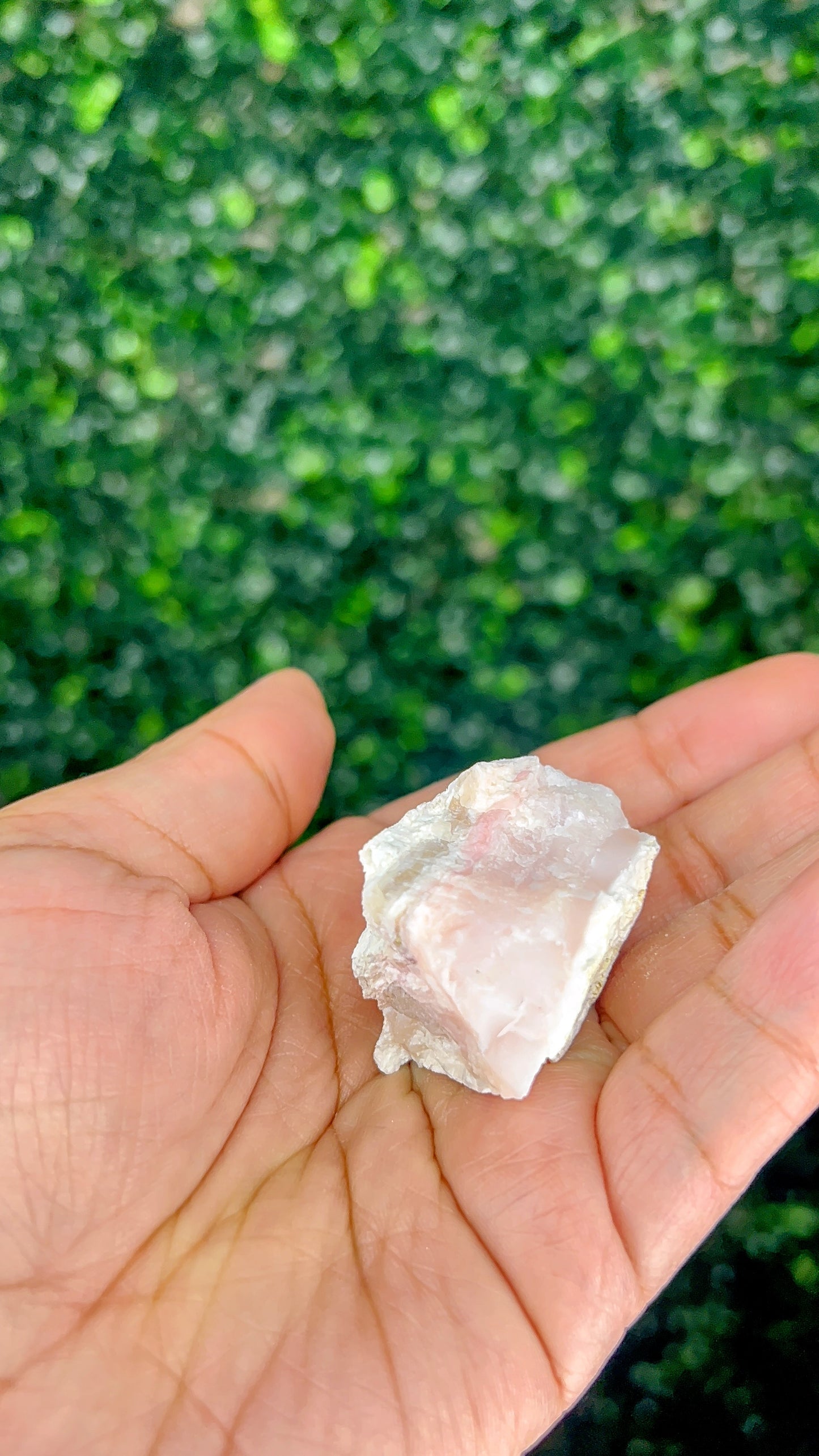 Pink Opal|Raw