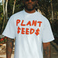 Plant Seeds