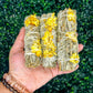 Sunflower + White Sage Bundle