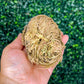 Rose Of Jericho