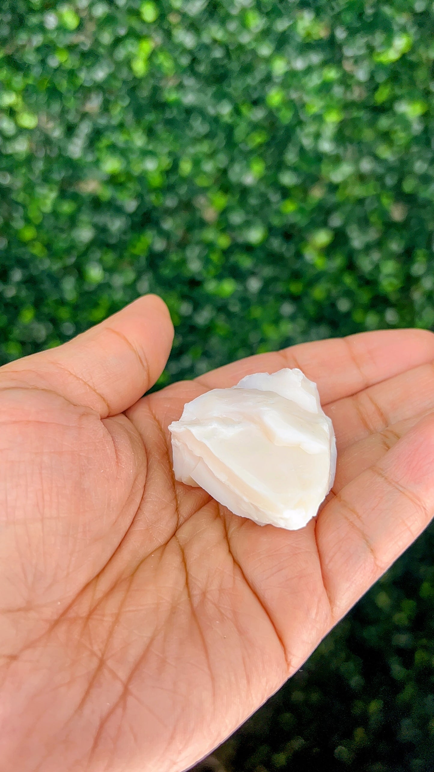 Pink Opal|Raw