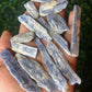 Blue Kyanite Blades|Assorted