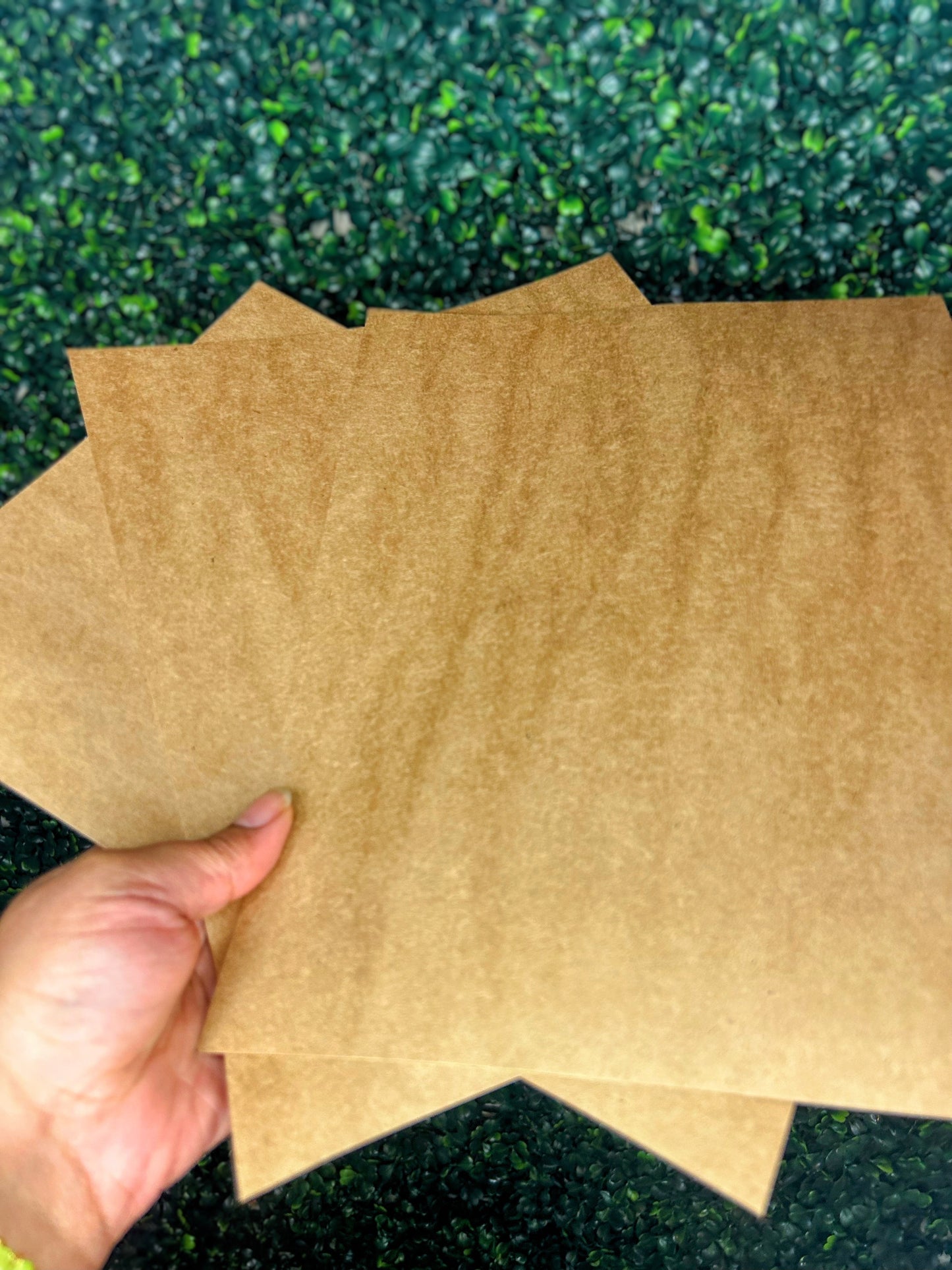 Grounded Desires Paper