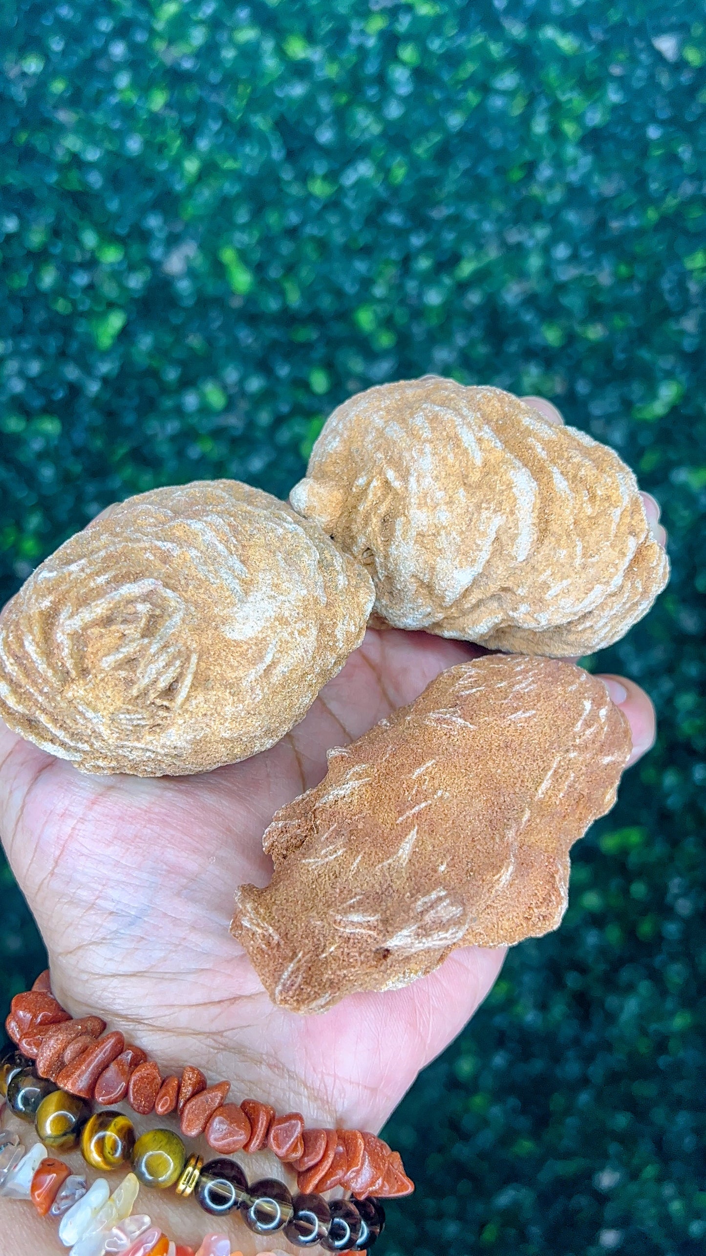 Desert Rose (Selenite Rose)|Raw