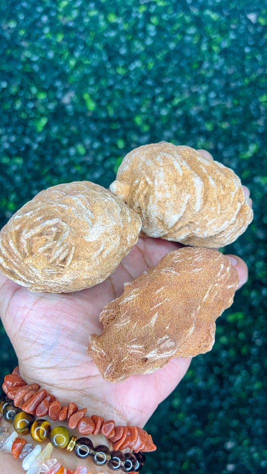 Desert Rose (Selenite Rose)|Raw