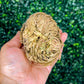 Rose Of Jericho