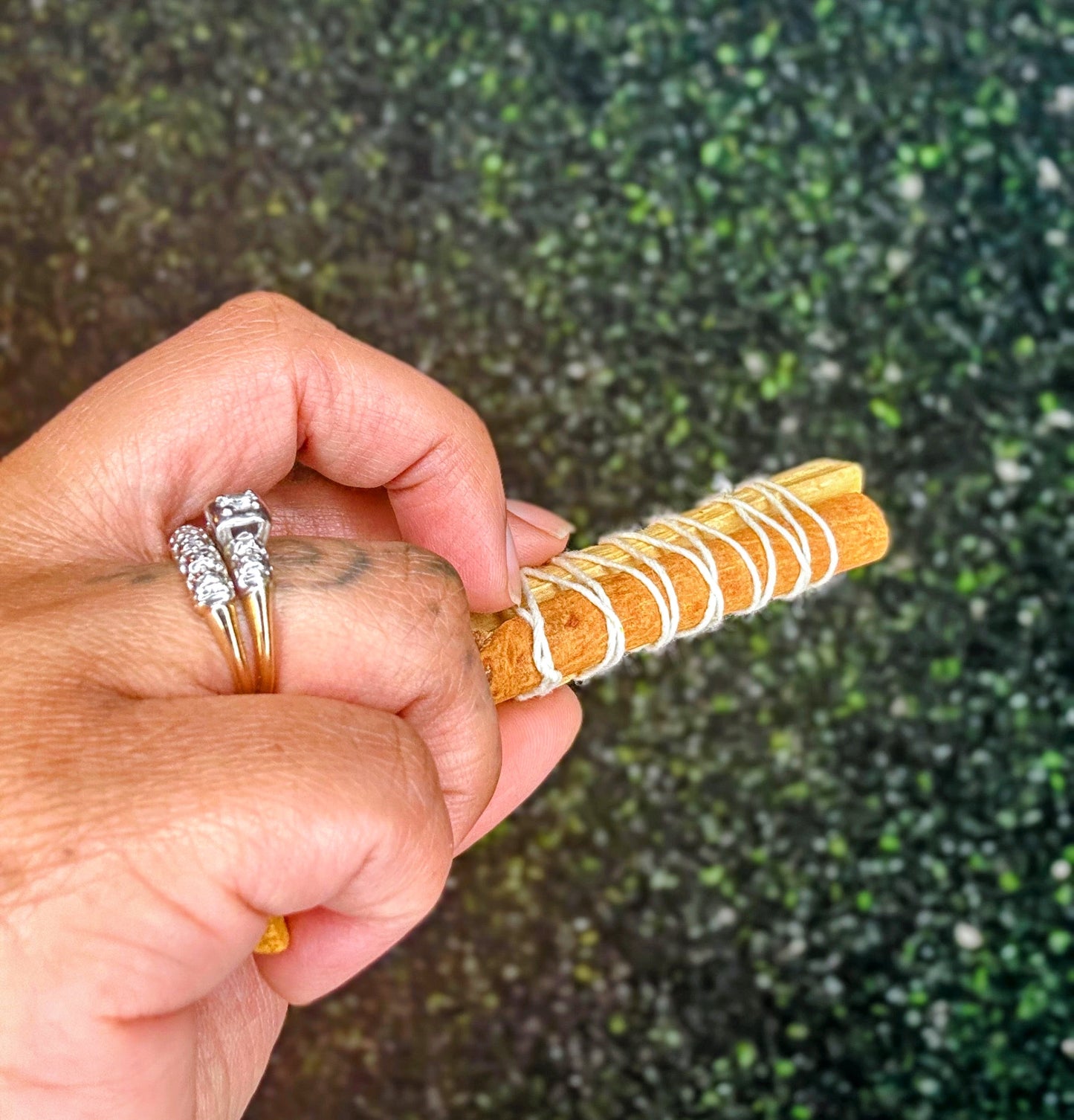 Cinnamon + Palo Santo Bundles