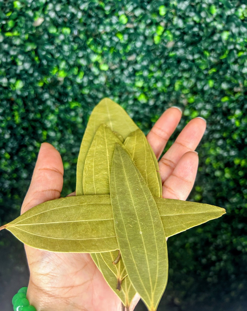 Bay Leaves