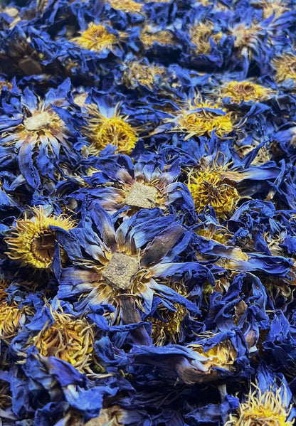 Blue Lotus