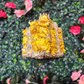 Sunflower + White Sage Bundle