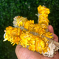 Sunflower + White Sage Bundle