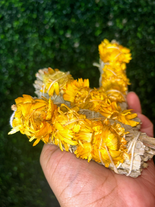 Sunflower + White Sage Bundle