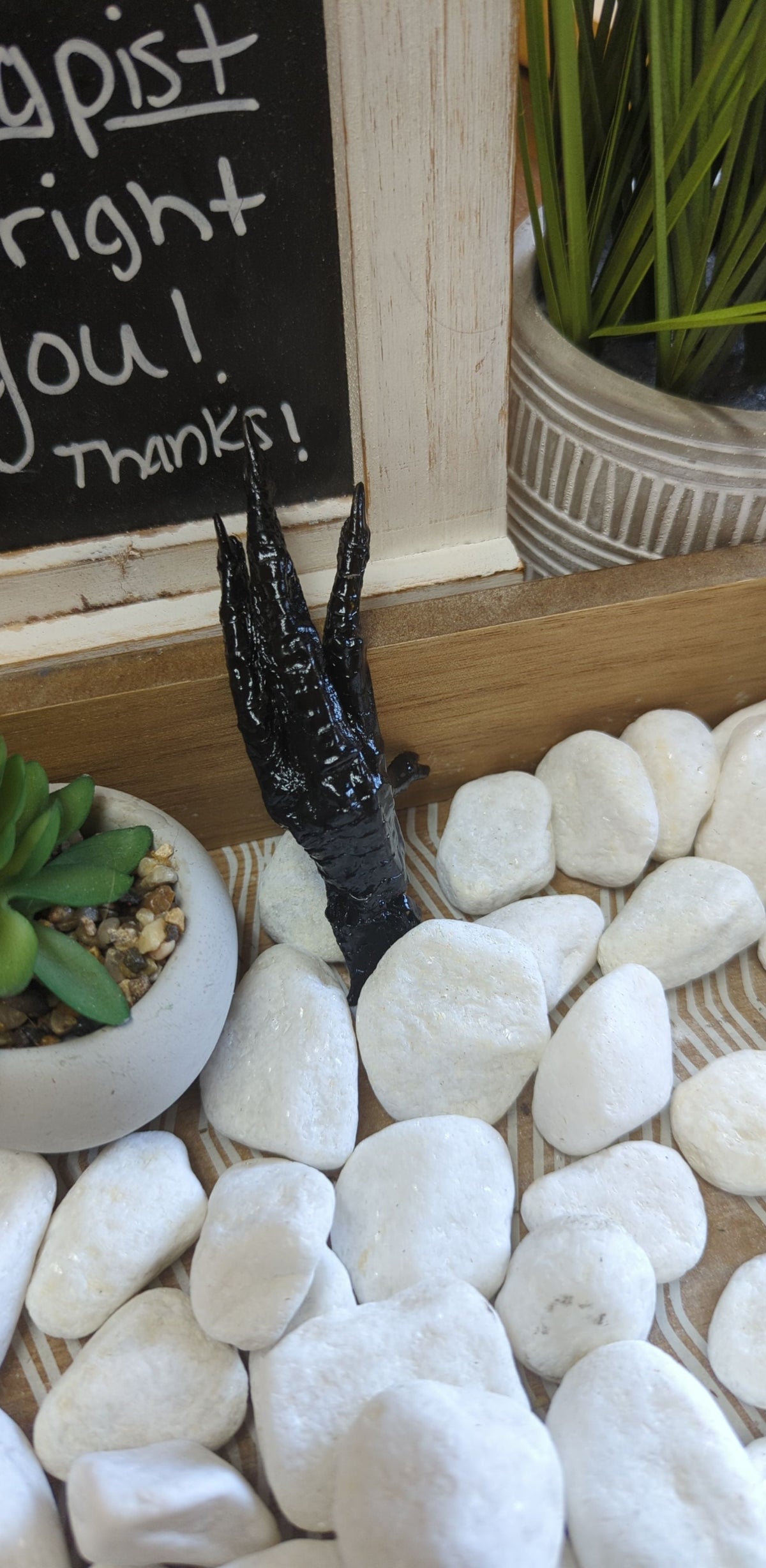 The Conjure Claw | Protection Talisman