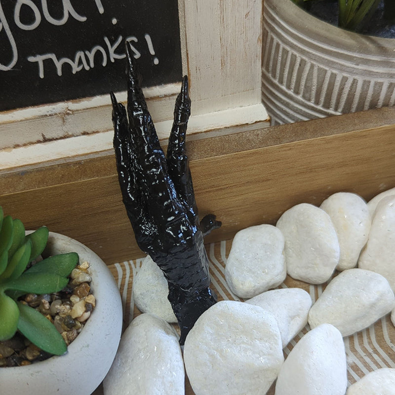 The Conjure Claw | Protection Talisman