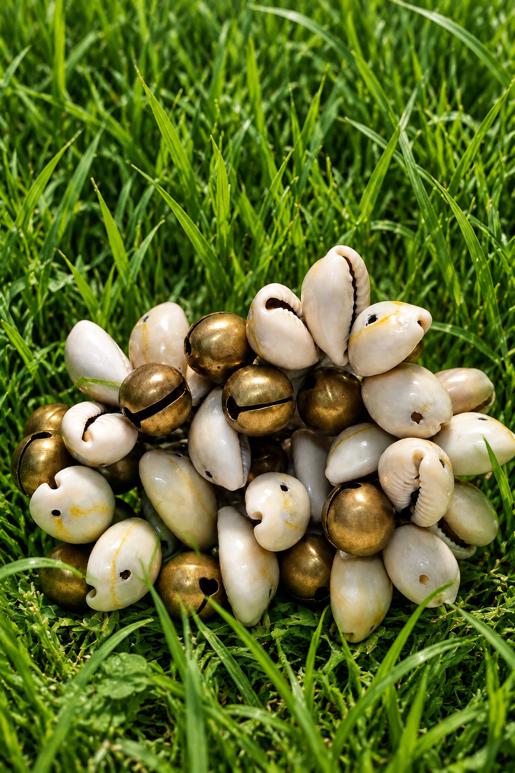 Sacred Currency | Cowrie Shell Bracelet
