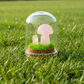 Gemstone Mini Mushroom Terrarium|Rose Quartz